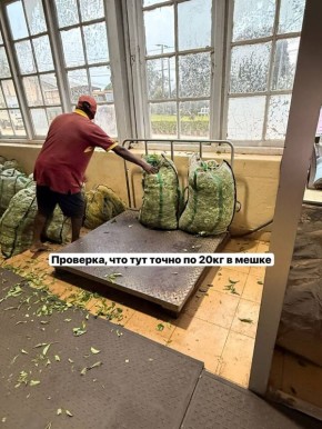 ���������� ���: �� ���� � ��������, � ������� ����� �����