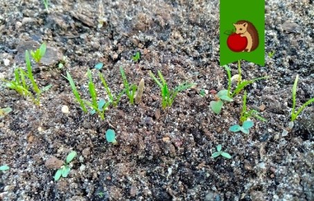 ����� � �������: ������� ����������� ������ � ������ �������