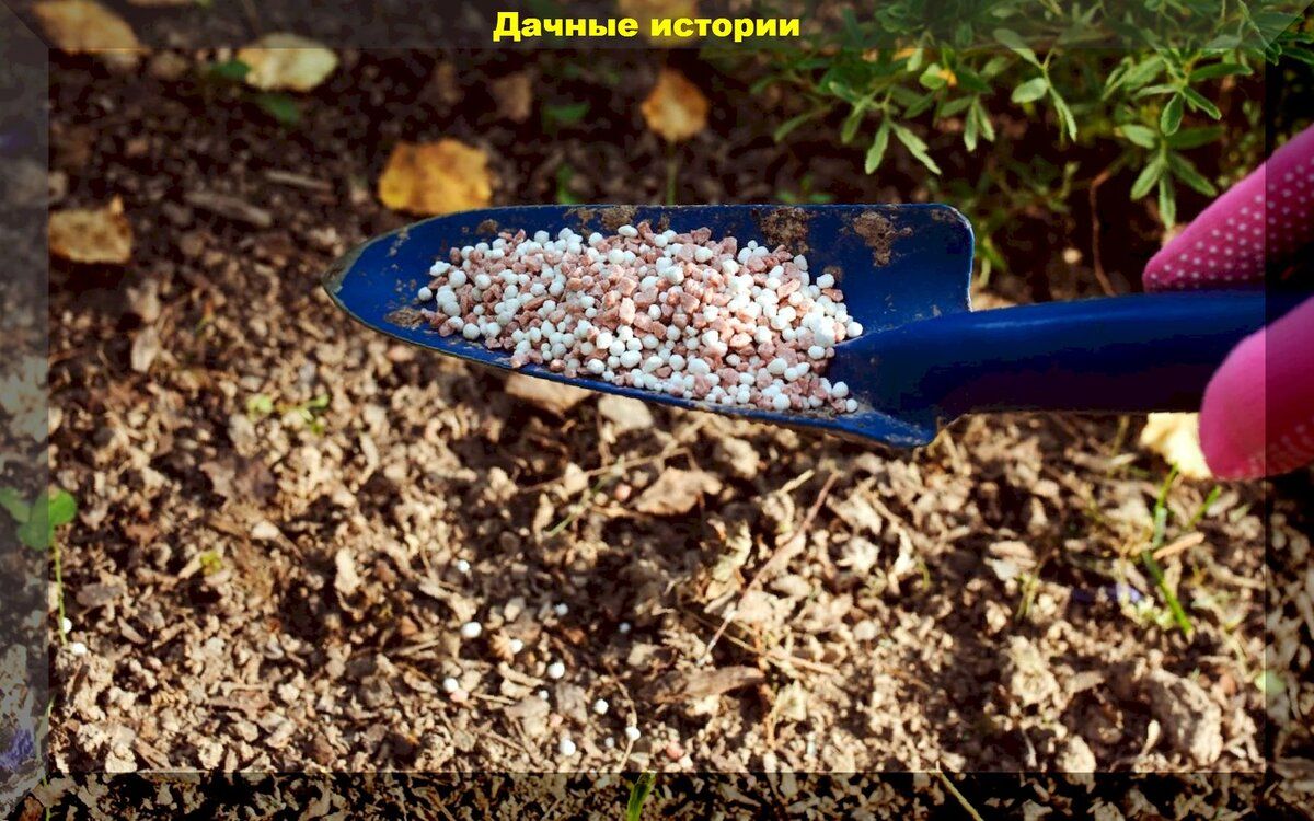 ������� �������� ���������: ��� �������� ������ � ����� ����