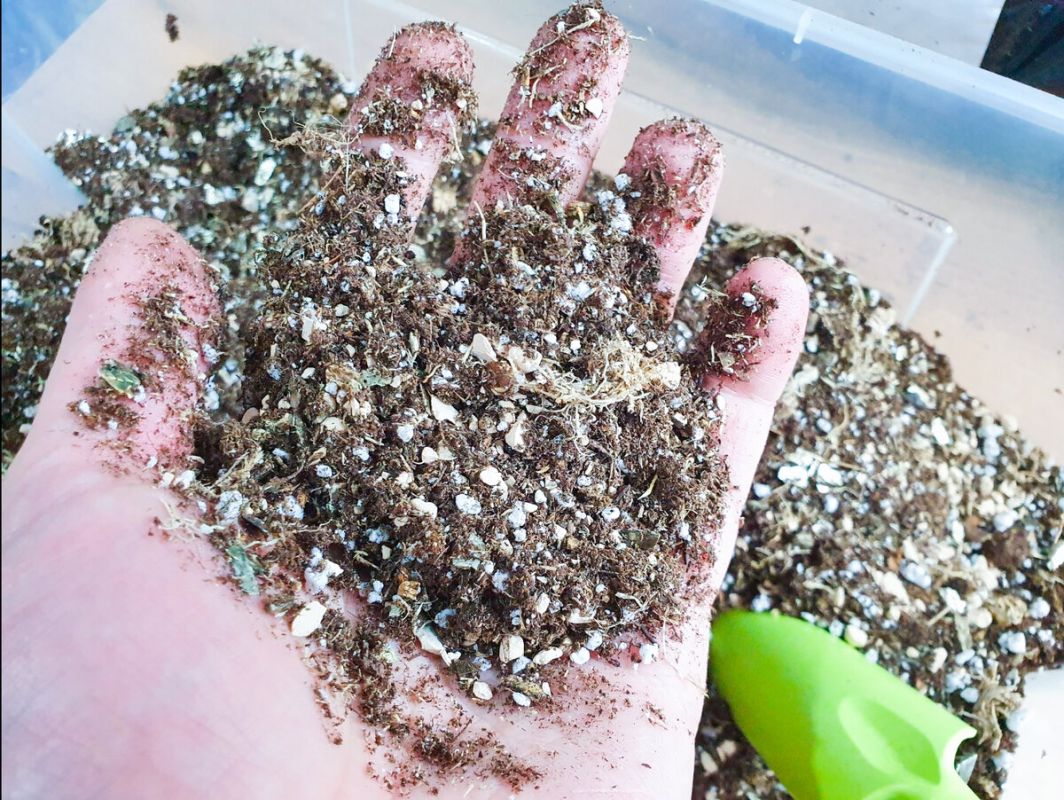 ��� ������� ���������� ��� ���� �������� � ������������ ���������