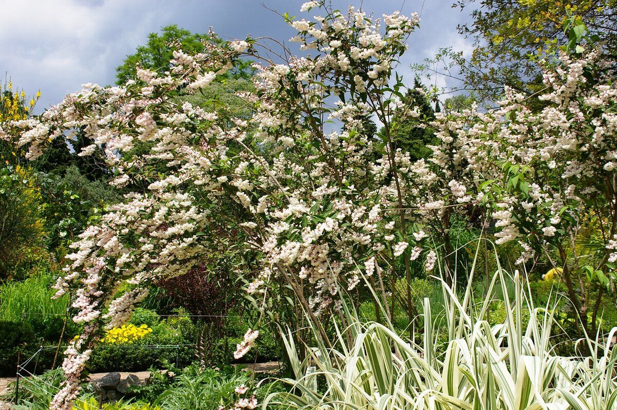 ��� ���������� ������ ����� � ����������� �������� ��� ������ ����