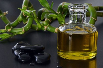 Оливковое масло: защита мозга от ожирения и воспаления