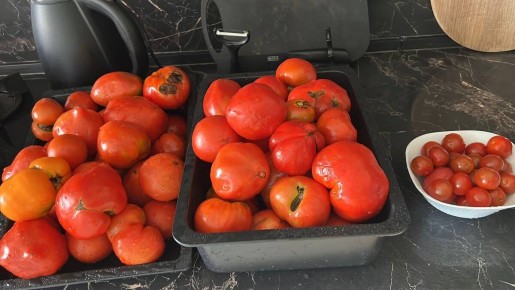 ������ ������ ��������� ���� �� ����, ������� ����� �����������