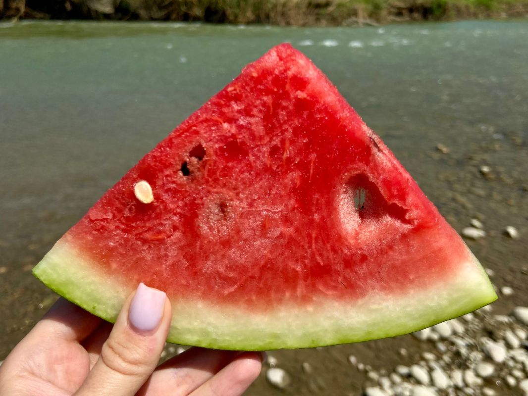 ������ �����: ���� ����������� �� ����������� ��������