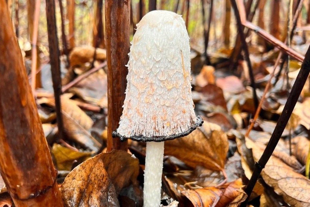 ��������� ���� ������� � ������������ ���������