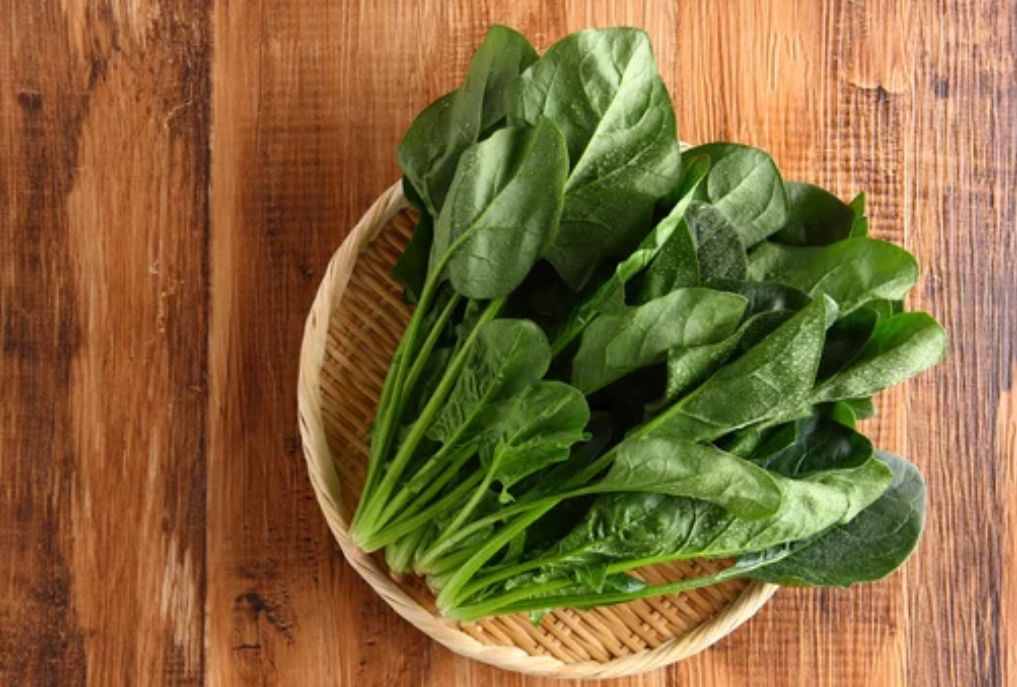 Шпинат: новый протеиновый герой на вашем столе
