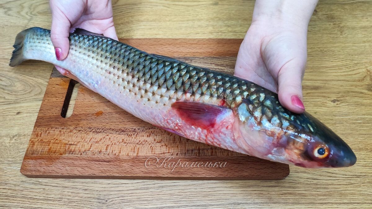 ��� ����� ����������� ������ � ���������� �����