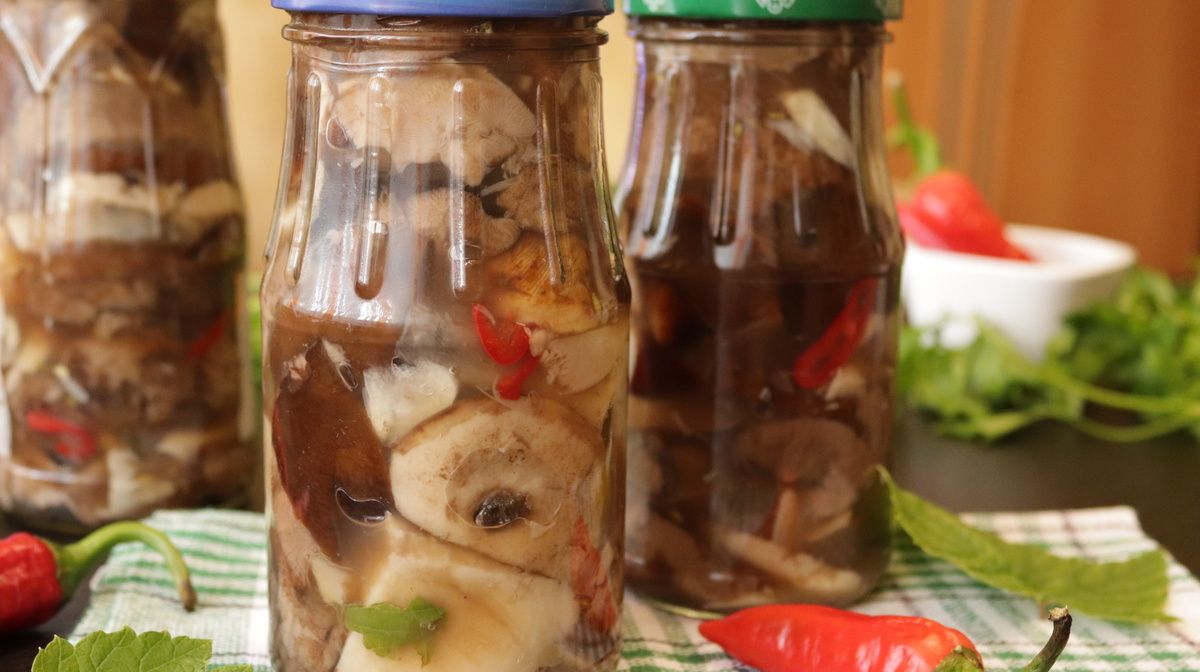 ������� ������������: ����� ������ �� ������� ���������