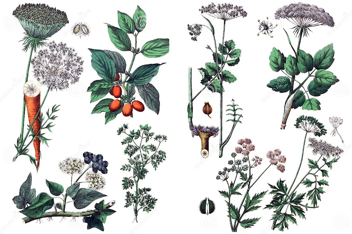 ������������ ���: ������������ �������� ������� ��� �������� � �����