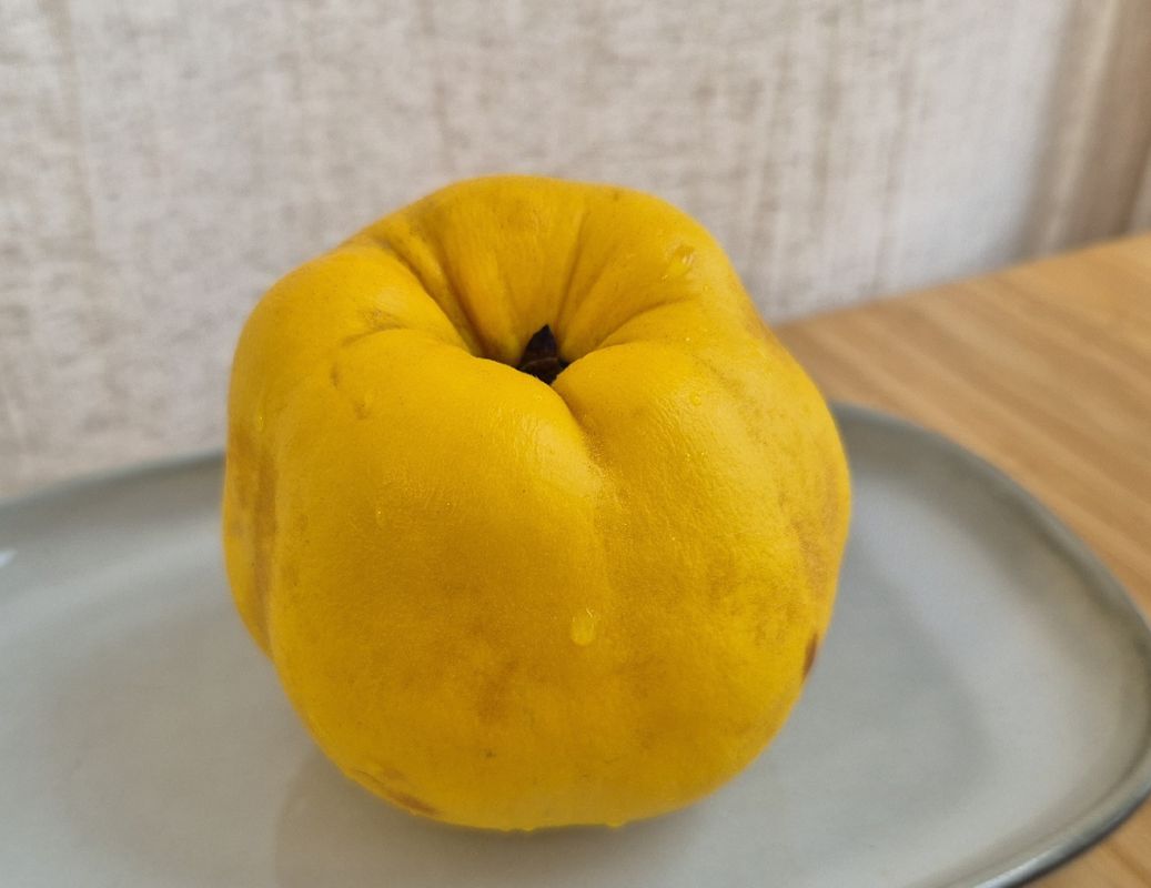 ����������� � ������� ������� ���