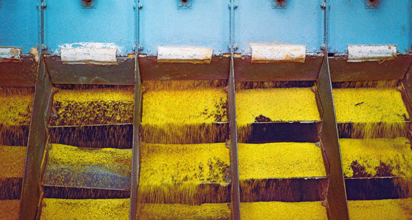 Загадка русской горчицы: от древних корней до современного производства