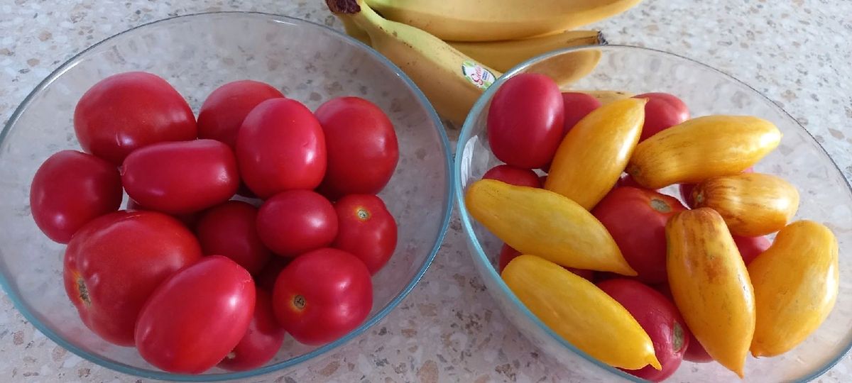 О овощах и ценах: как личный огород становится спасением