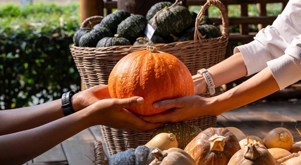 ��� �������� ���� ����� � ������� ����� ��������� ������