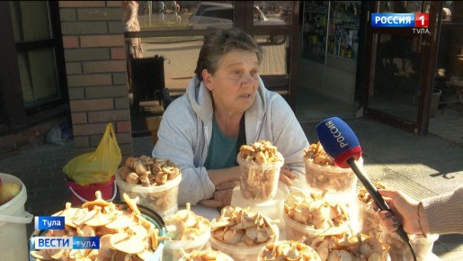 Опята: как выбрать безопасный гриб