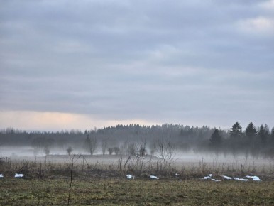 ������ � ��������: ��� ��������� � ����� ���