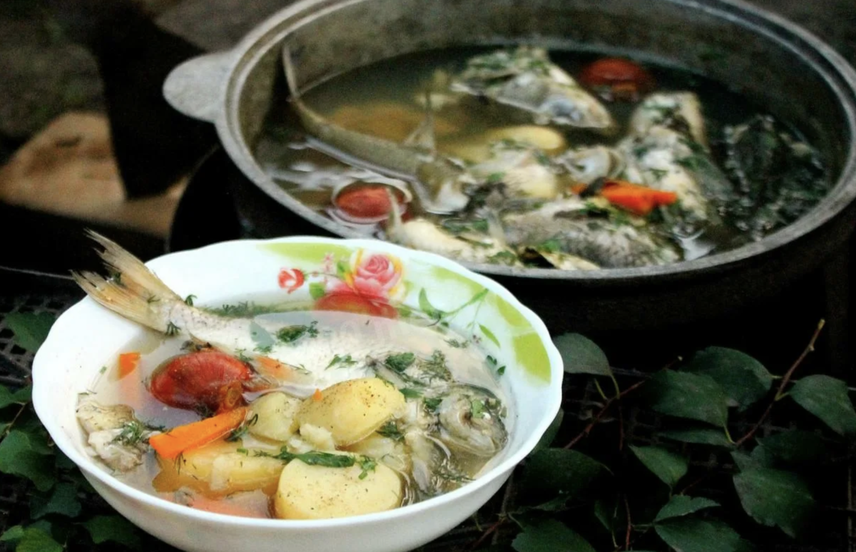 Приготовление домашней ухи: советы, рецепт и выбор рыбы