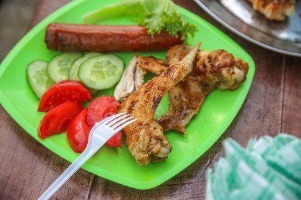 Человек и его пища: как наш ЖКТ справляется с комбинированным рационом