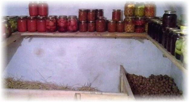 Эффективные способы хранения лука зимой: секреты сохранения свежести