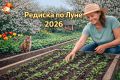 Лунный календарь редиса на 2026 год: как вырастить идеальный корнеплод