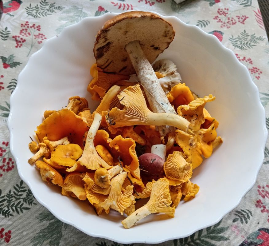 ������ � �������: ������� � ������� ������ ��� ���� �����