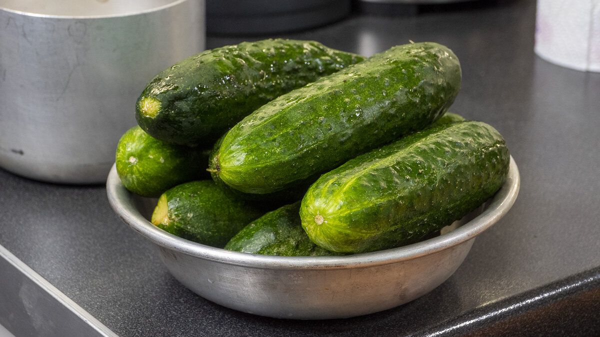 ������ �����������: ������ �������� ������� ��� ����