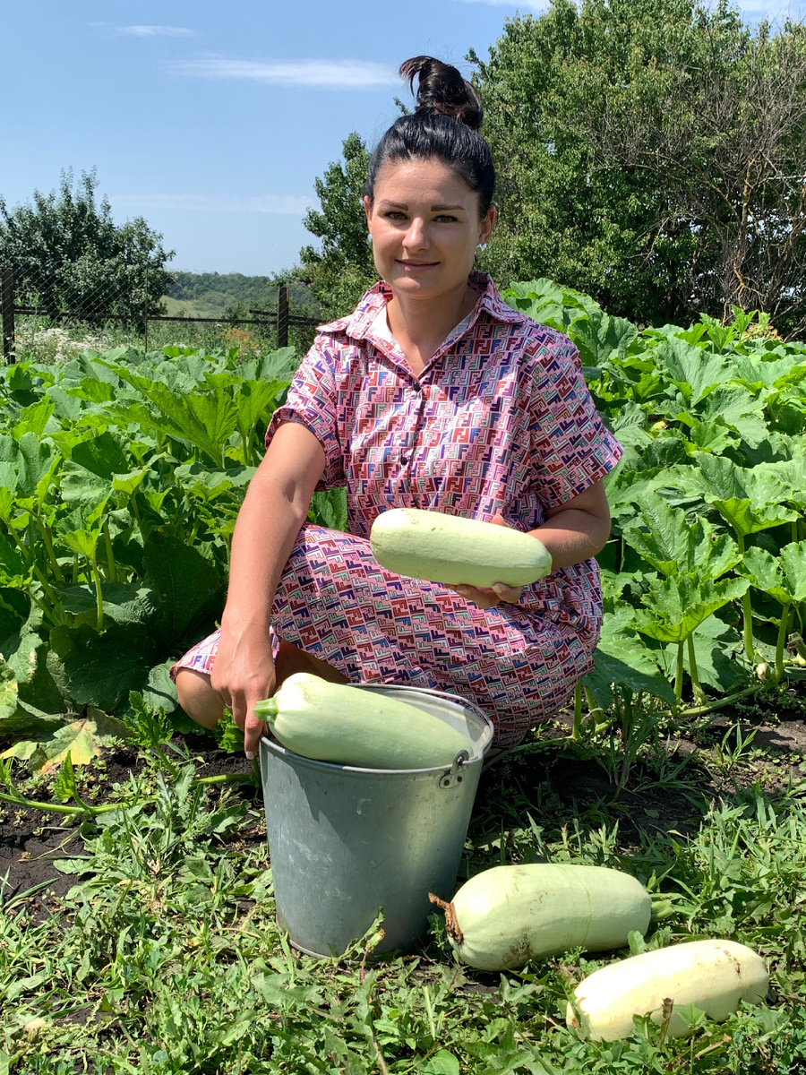 Кабачки на кухне: удивительные рецепты, которые приятно удивят