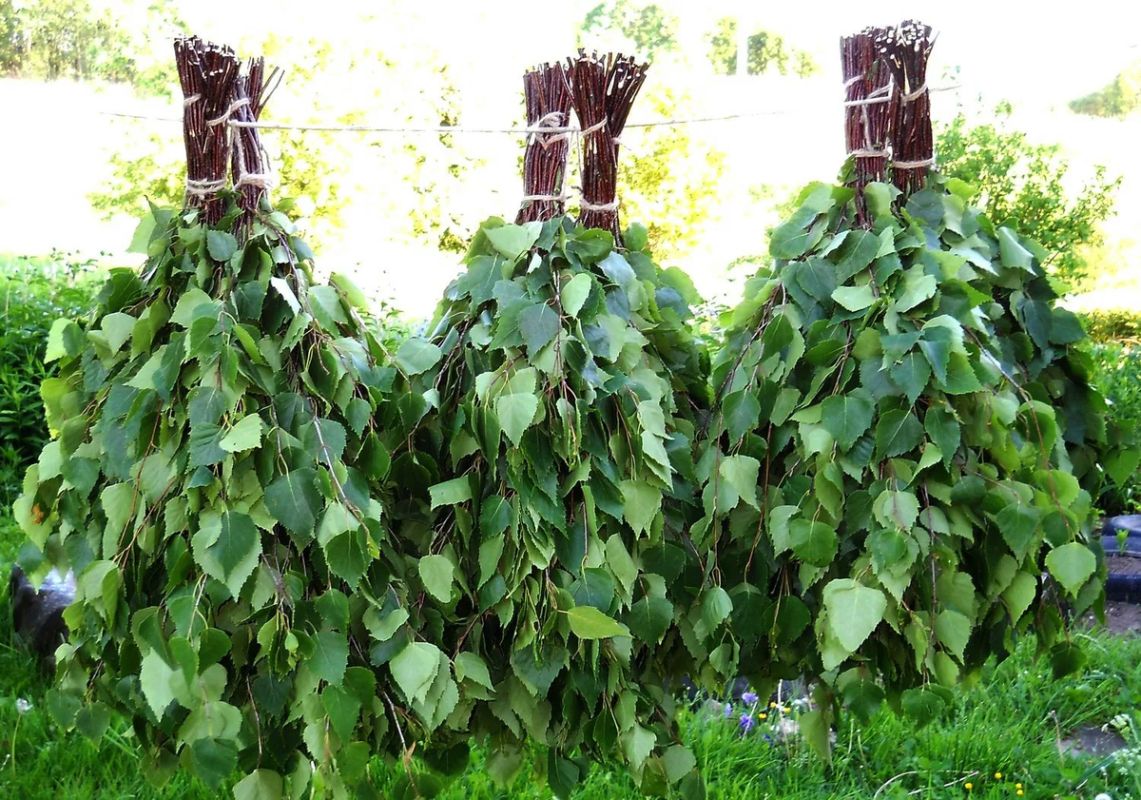 ��� ����������� ��������������� ������������ �� ��������� �������