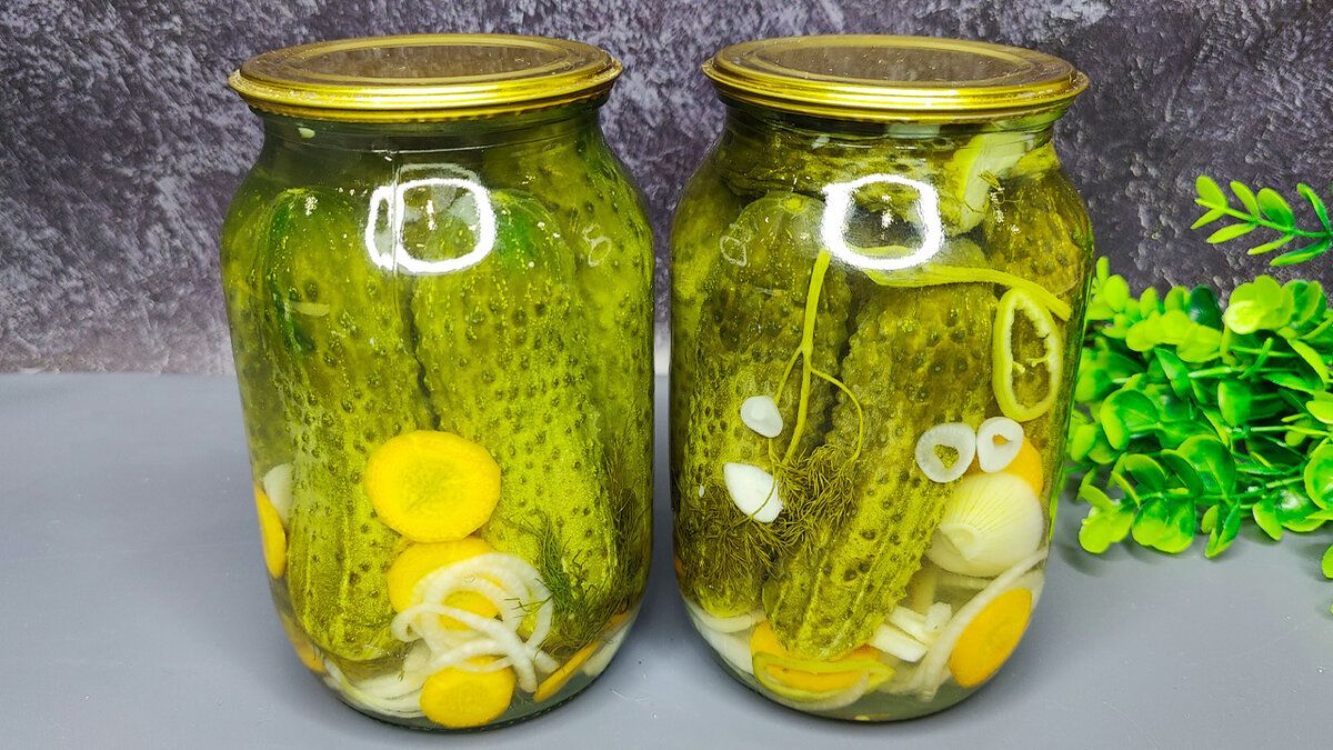 �����-������� ������ �� ����: ��������� ������, ������� �� ������� �����������