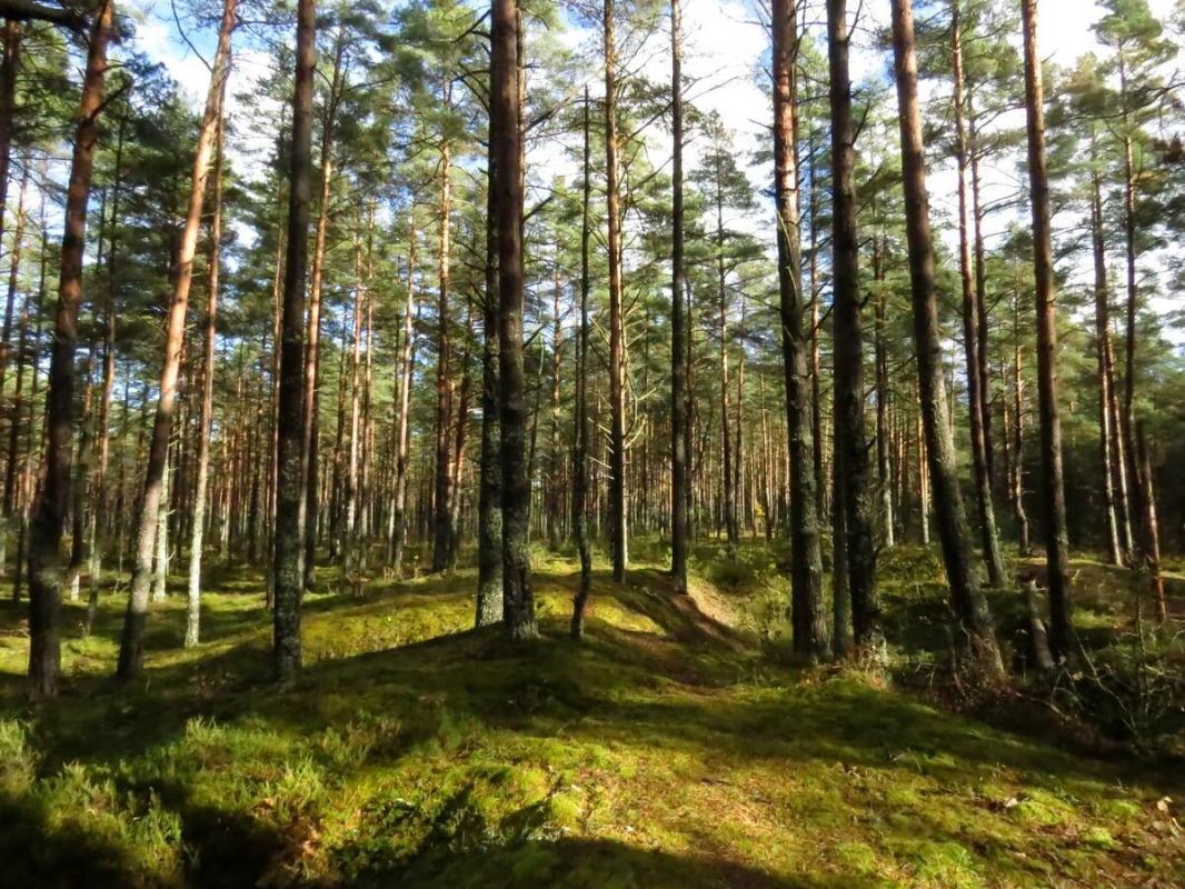 ��������� ����� � ������������ ���: ����� ��������� ������ ������