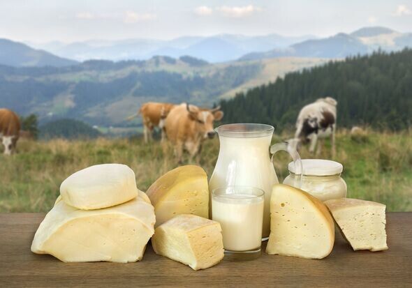 ���������� ���: �������� � ����� ������������ �����