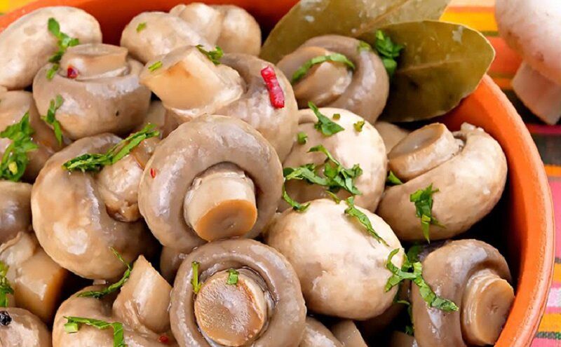 ������ � ������� ������ ����������� �����������