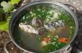 Уха из карася: как создать шедевр рыбной кухни