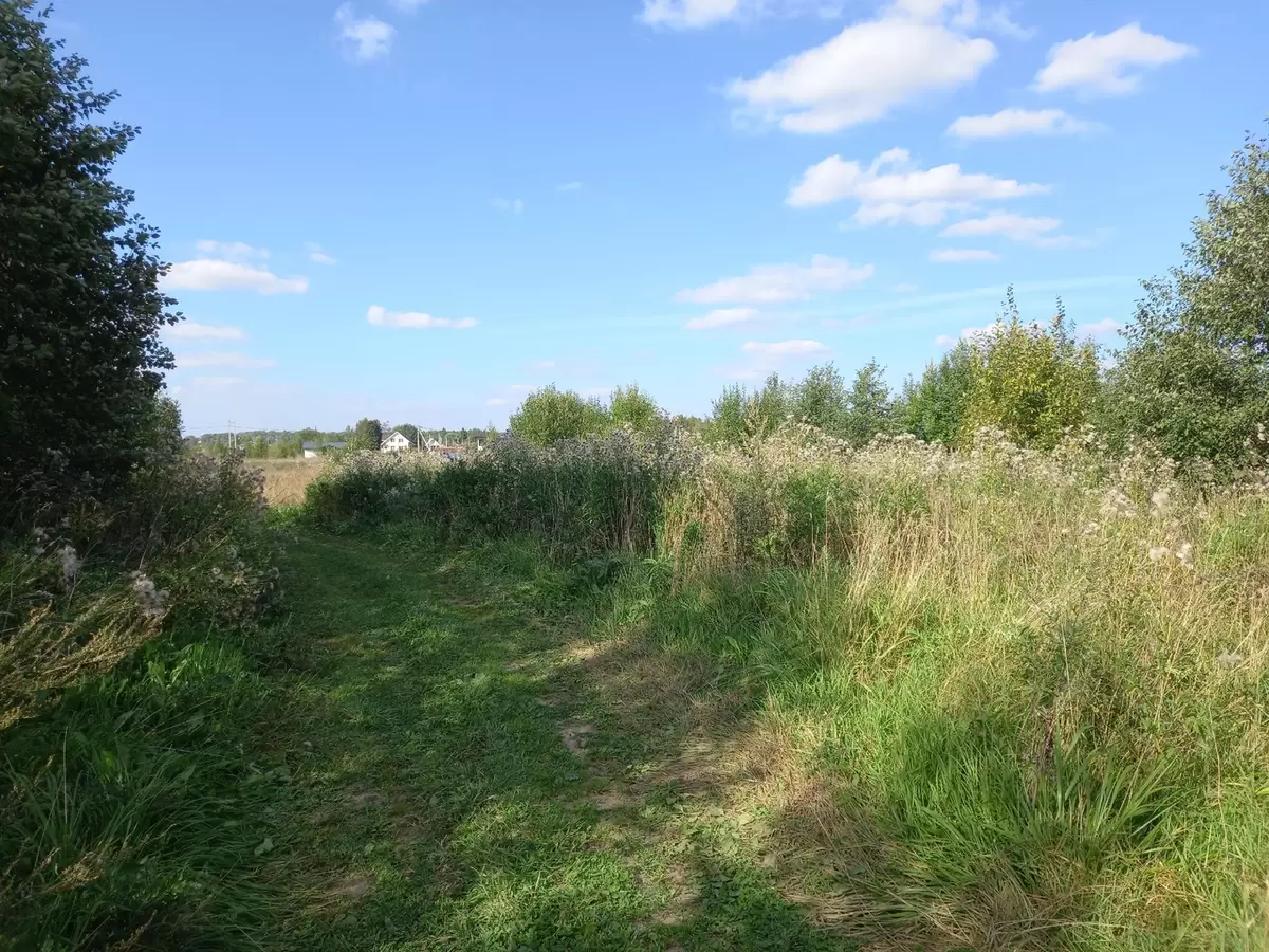 Почему дружба с соседями на даче — это не просто желание, а необходимость