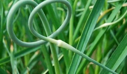 �� ������������ ��������� �������: ������������� ������� � �������� ��������