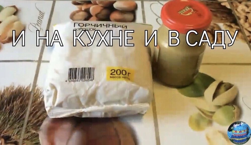 ��� ����������� ������� ������� � �������� ��������