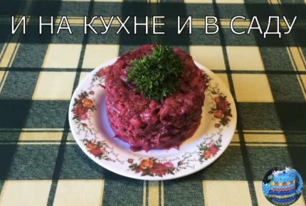 ���������� ����� ������: ������ ���� ����� ��� ������ ������