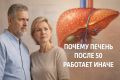 Как меняется работа печени после 50 лет: важные моменты для здоровья