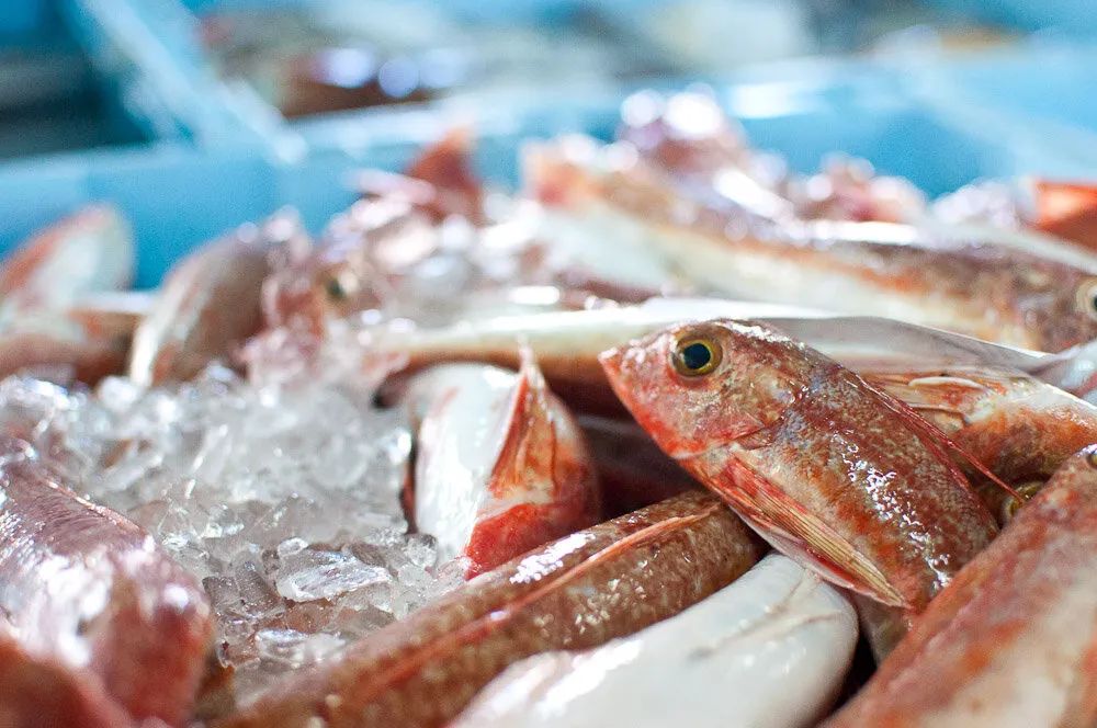 Как повысить потребление рыбной продукции: взгляд на будущее