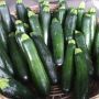 Кабачок Блэк цуккини: ранний сорт с уникальной окраской